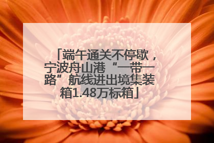 端午通关不停歇，宁波舟山港“一带一路”航线进出境集装箱1.48万标箱
