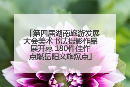 第四届湖南旅游发展大会美术书法摄影作品展开幕 180件佳作点燃岳阳文旅爆点