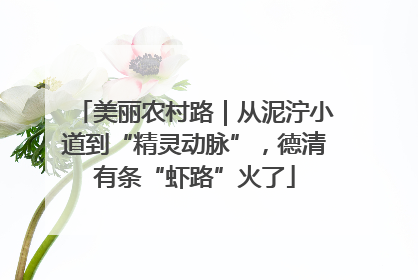 美丽农村路｜从泥泞小道到“精灵动脉”，德清有条“虾路”火了