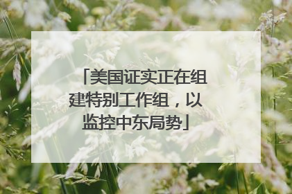 美国证实正在组建特别工作组，以监控中东局势