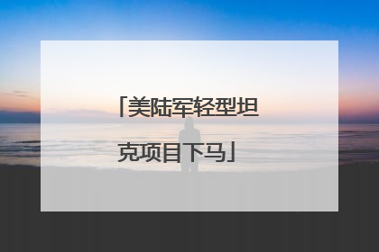 美陆军轻型坦克项目下马