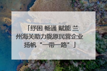 纾困 畅通 赋能 兰州海关助力陇原民营企业扬帆“一带一路”