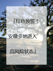 红色预警！安徽多地进入高风险状态