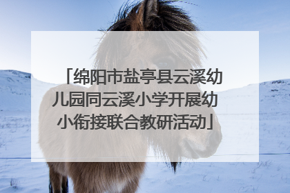 绵阳市盐亭县云溪幼儿园同云溪小学开展幼小衔接联合教研活动