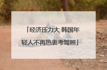 经济压力大 韩国年轻人不再热衷考驾照