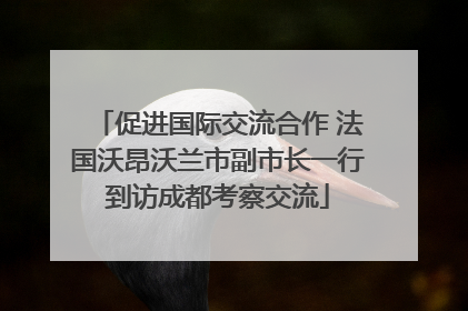 促进国际交流合作 法国沃昂沃兰市副市长一行到访成都考察交流
