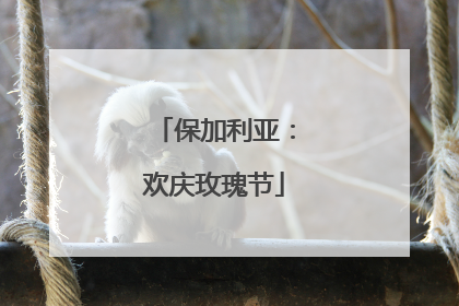保加利亚：欢庆玫瑰节