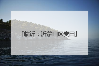 临沂：沂蒙山区麦田