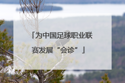 为中国足球职业联赛发展“会诊”
