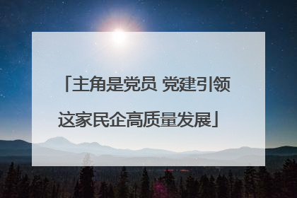 主角是党员 党建引领这家民企高质量发展
