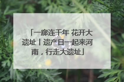 一廊连千年 花开大遗址丨遗产日一起来河南，行走大遗址