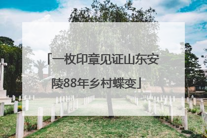 一枚印章见证山东安陵88年乡村蝶变