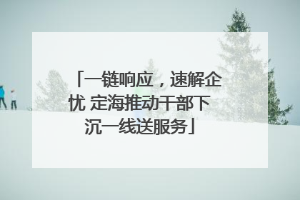 一链响应，速解企忧 定海推动干部下沉一线送服务