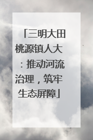 三明大田桃源镇人大：推动河流治理，筑牢生态屏障