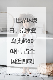 世界环境日：京津冀鸟类超600种，占全国近四成