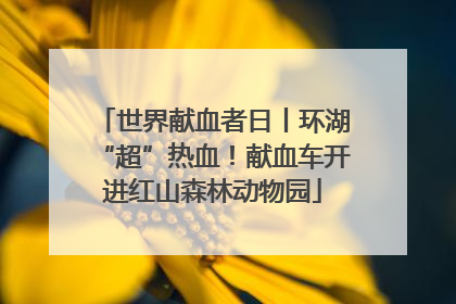 世界献血者日丨环湖“超”热血！献血车开进红山森林动物园
