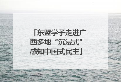 东盟学子走进广西多地“沉浸式”感知中国式民主