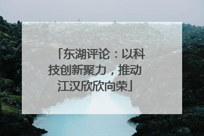 东湖评论：以科技创新聚力，推动江汉欣欣向荣