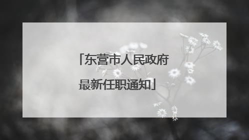 东营市人民政府最新任职通知