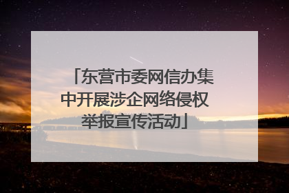 东营市委网信办集中开展涉企网络侵权举报宣传活动