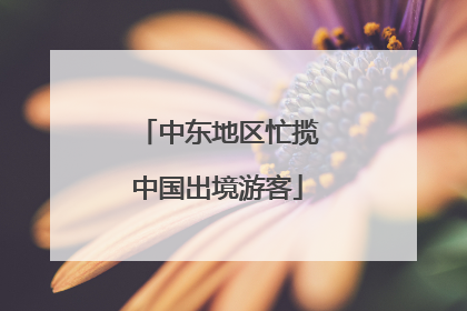 中东地区忙揽中国出境游客