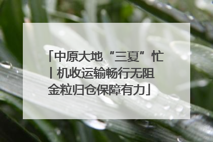 中原大地“三夏”忙丨机收运输畅行无阻 金粒归仓保障有力
