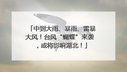 中到大雨、暴雨、雷暴大风！台风“蝴蝶”来袭，或将影响湖北！