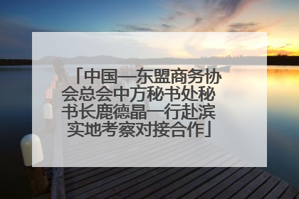 中国—东盟商务协会总会中方秘书处秘书长鹿德晶一行赴滨实地考察对接合作