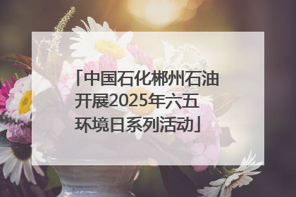 中国石化郴州石油开展2025年六五环境日系列活动