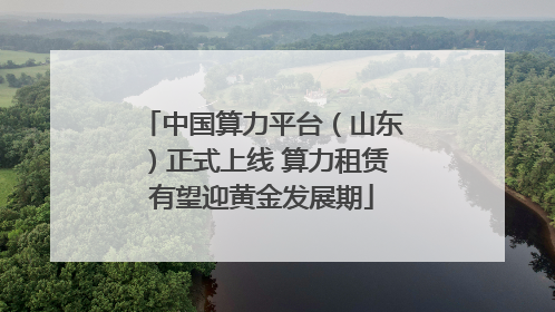 中国算力平台（山东）正式上线 算力租赁有望迎黄金发展期
