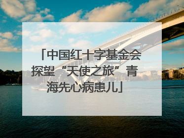 中国红十字基金会探望“天使之旅”青海先心病患儿