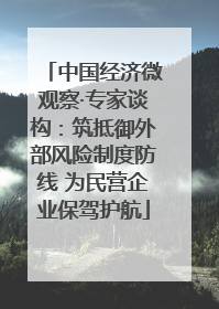 中国经济微观察·专家谈构：筑抵御外部风险制度防线 为民营企业保驾护航