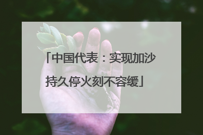 中国代表:实现加沙持久停火刻不容缓