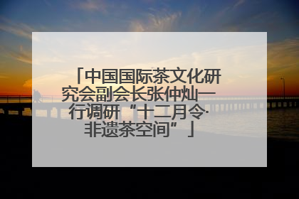 中国国际茶文化研究会副会长张仲灿一行调研“十二月令·非遗茶空间”