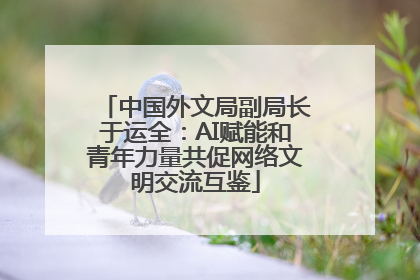 中国外文局副局长于运全：AI赋能和青年力量共促网络文明交流互鉴