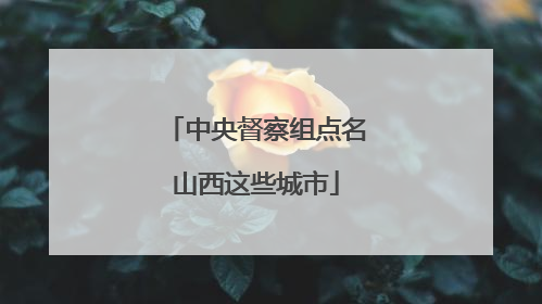 中央督察组点名山西这些城市