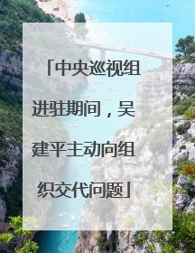 中央巡视组进驻期间，吴建平主动向组织交代问题