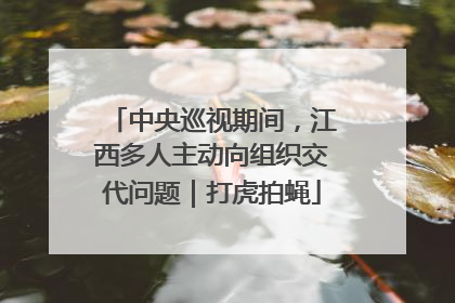 中央巡视期间，江西多人主动向组织交代问题｜打虎拍蝇
