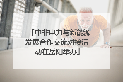 中非电力与新能源发展合作交流对接活动在岳阳举办