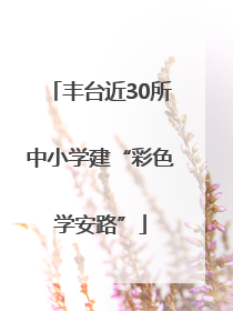 丰台近30所中小学建“彩色学安路”