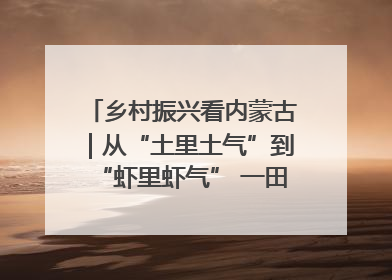 乡村振兴看内蒙古｜从“土里土气”到“虾里虾气” 一田双收模式火出圈