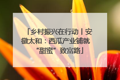 乡村振兴在行动丨安徽太和：西瓜产业铺就“甜蜜”致富路