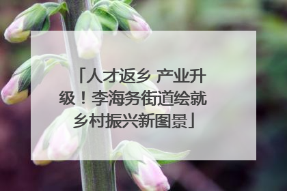 人才返乡 产业升级！李海务街道绘就乡村振兴新图景