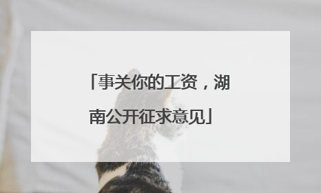 事关你的工资，湖南公开征求意见