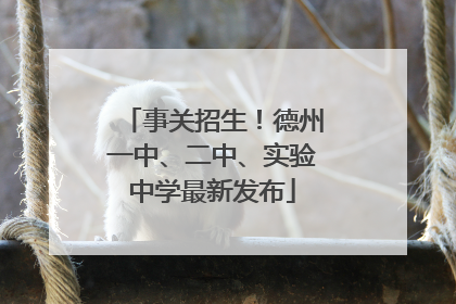 事关招生！德州一中、二中、实验中学最新发布