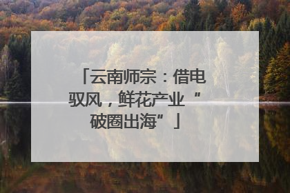 云南师宗：借电驭风，鲜花产业“破圈出海”