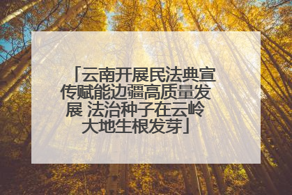 云南开展民法典宣传赋能边疆高质量发展 法治种子在云岭大地生根发芽