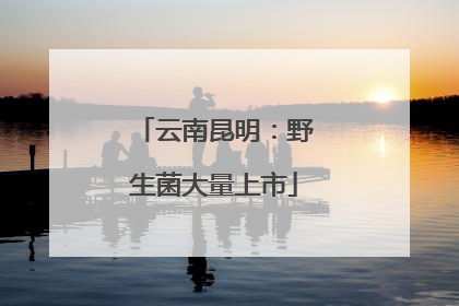 云南昆明：野生菌大量上市