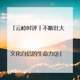 云岭时评丨不断壮大文化自信的生命力②