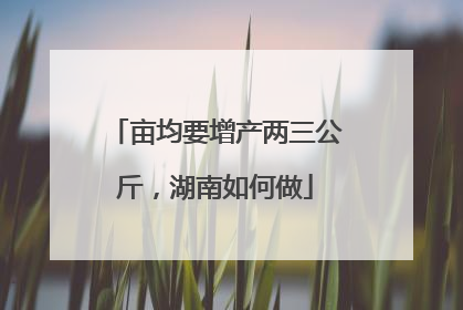 亩均要增产两三公斤，湖南如何做